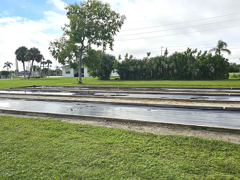Bocce ball courts