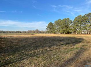 LOT 1 Bethel Rd, Elkmont, AL 35620