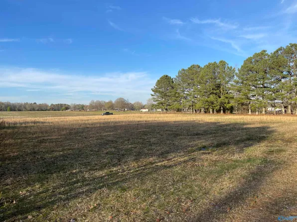 LOT 3 Bethel Rd, Elkmont, AL 35620