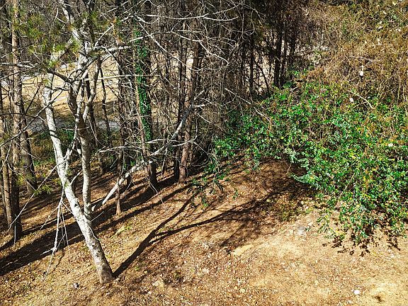 2nd image of 117 Turner Rd