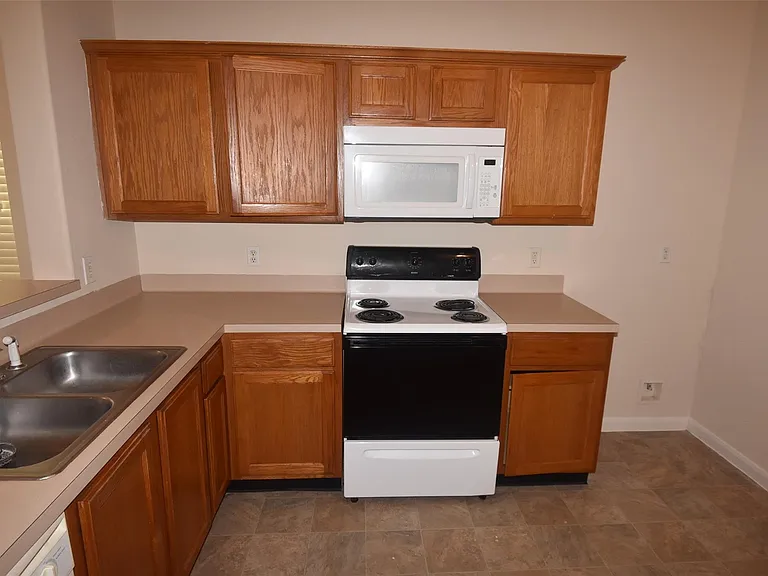 16807 Mammoth Springs Dr — Photo 10