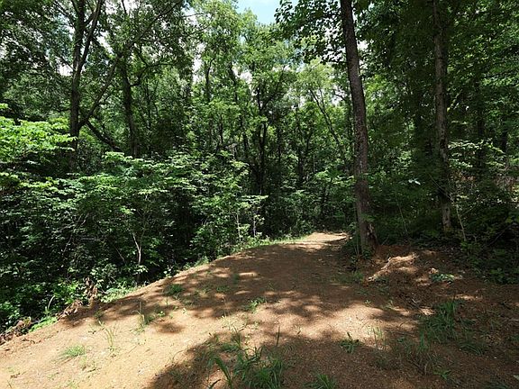 4th image of 0 Blowing Cave Rd Lot 9-11A