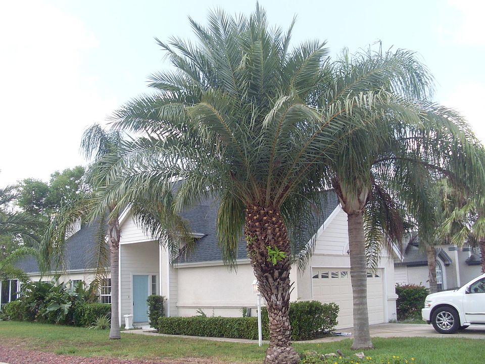 Exterior/corner lot