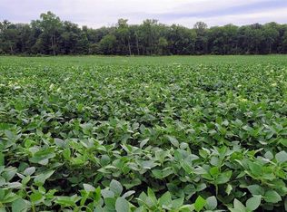 0 Scipio Rd, Harlan, IN 46743