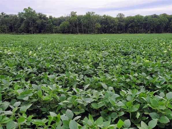 0 Scipio Rd, Harlan, IN 46743