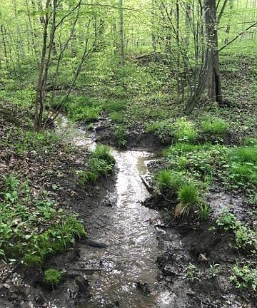 4th image of 63141 County Road 384