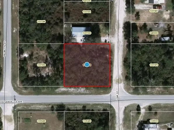 Pine St, Paisley, FL 32767