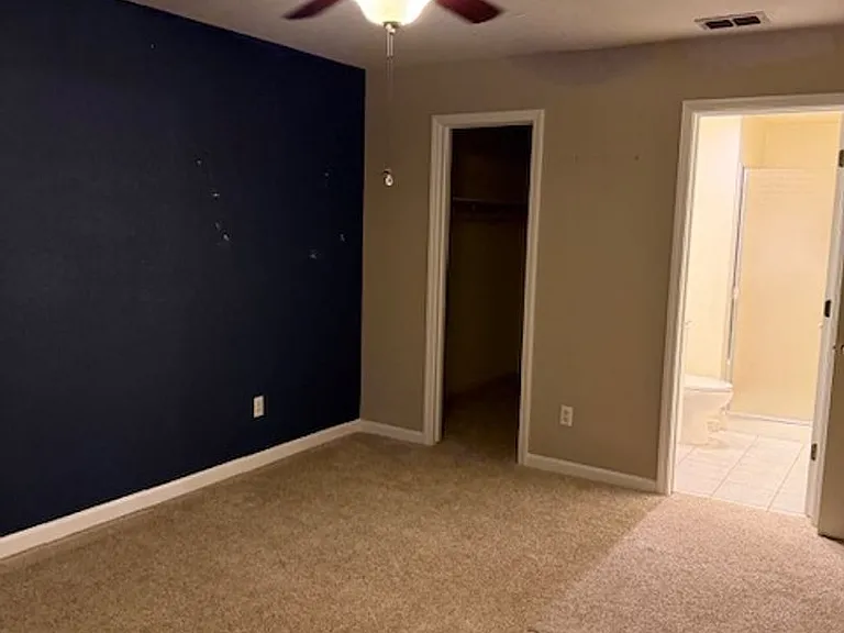 10 White Lily Ct — Photo 23