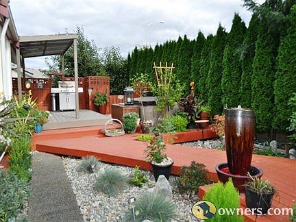 Backyard in spring