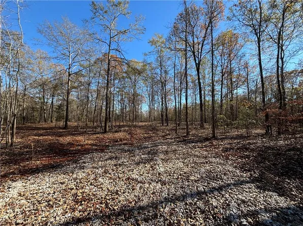 LOT 3 Lee Road 344, Salem, AL 36874