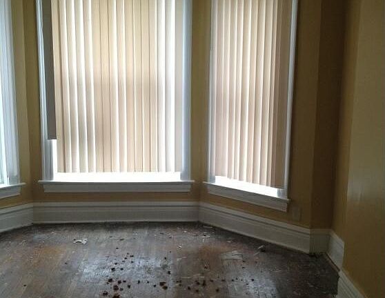 5th image of 6634 S Maryland Ave