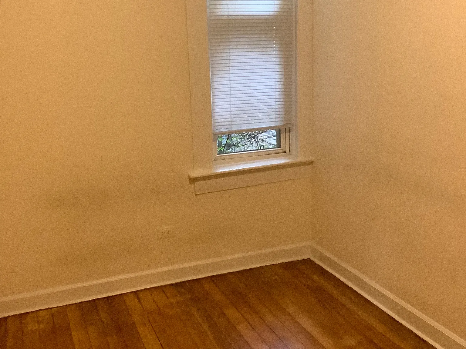 2 bed, 750 sqft, $1,900 — Photo 3