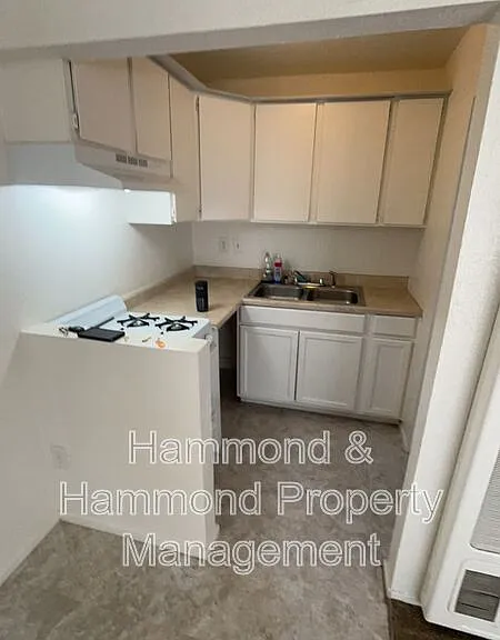 911 Ventura Ave #2 — Photo 5