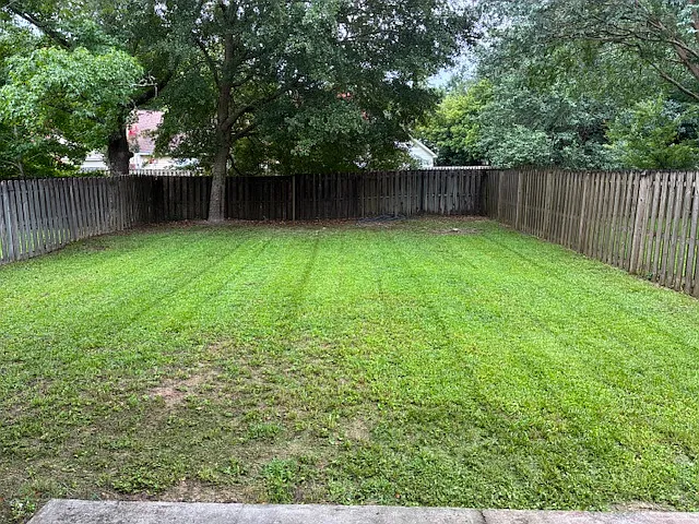 229 Hemley Loop — Photo 7