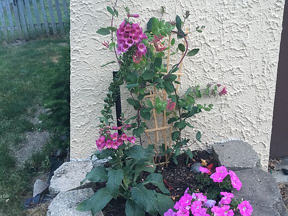 5th image of 5065 Barrett Dr