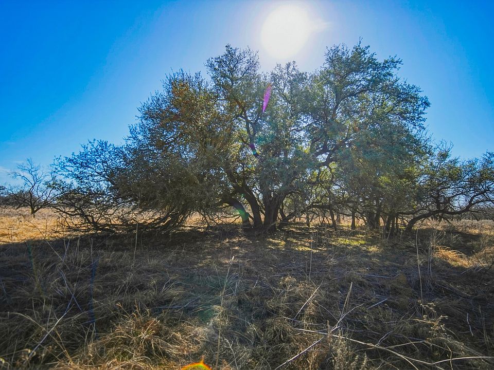 1st image of Roney Rd