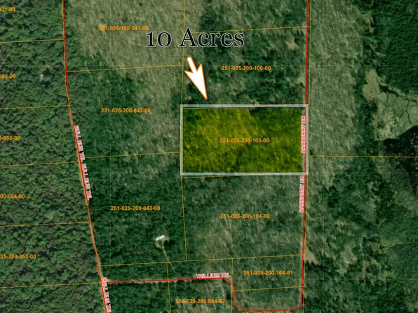 V/l N Barberry Dr, Wolverine, MI 49799