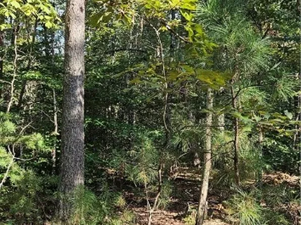 0 Level Green Rd, Saint Stephens Church, VA 23148