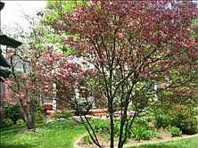 5th image of 5505 Crestwood Dr
