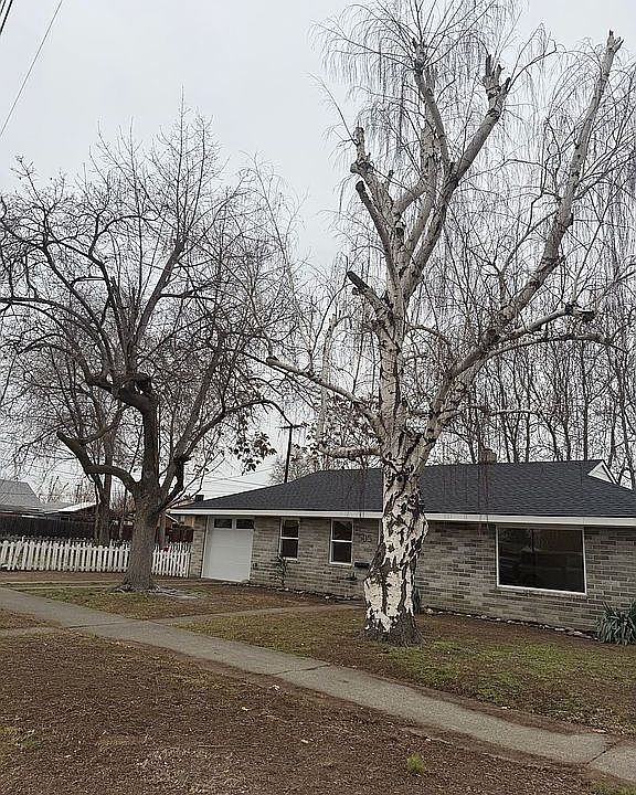 1st image of 505 N 15th Ave