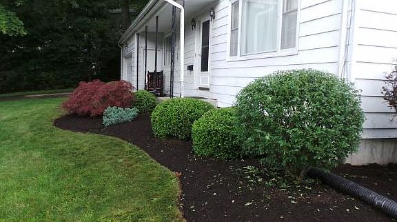 4th image of 1004 Beechwood Ln