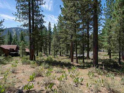 590 Stewart Mc Kay, Truckee, CA, 96161