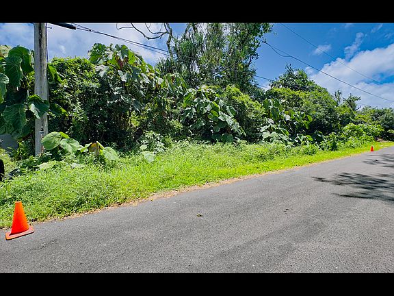 4th image of Opakapaka St Lot 8
