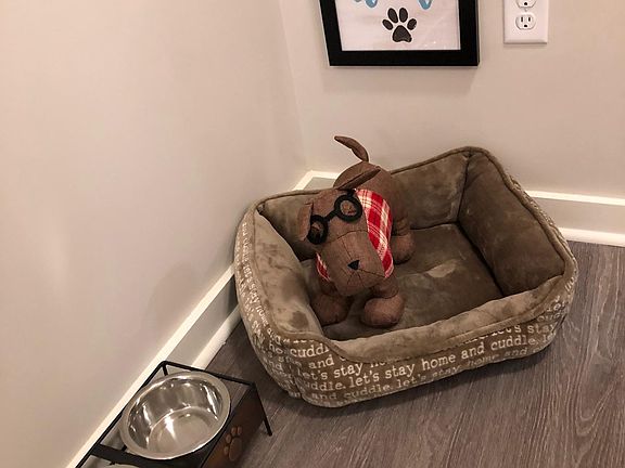 We are pet friendly!