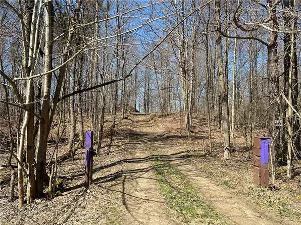 13200 Weeks Valley Rd, Wattsburg, PA 16442