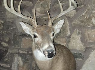 E Lapan Rd, Pinconning, MI 48650