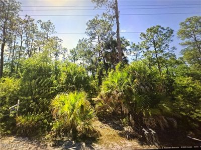1511 Palmetto Ave, Lehigh Acres, FL, 33972