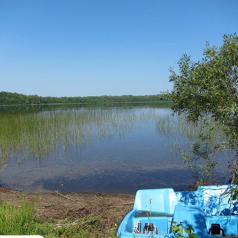 2nd image of 13029 Carlson Rd