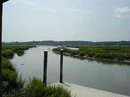 Water view