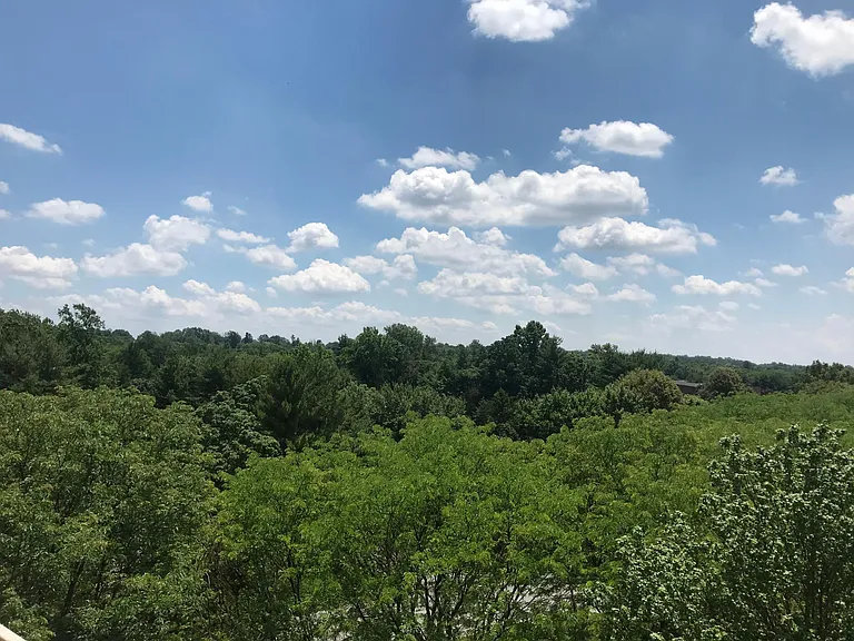 1600 Hagys Ford Rd #9X — Photo 44