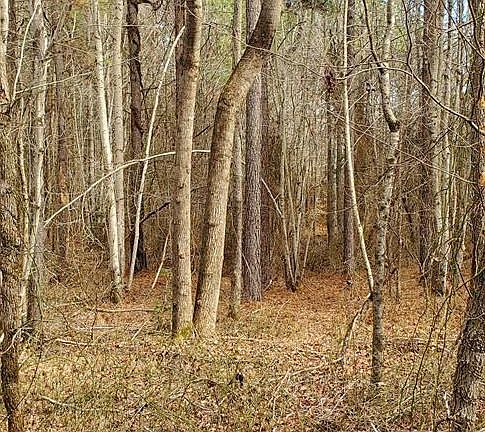 4th image of 2450R379 Providence Rd