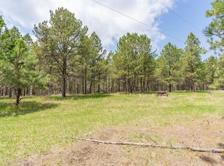 Old Saw Mill Rd, Custer, SD 57730