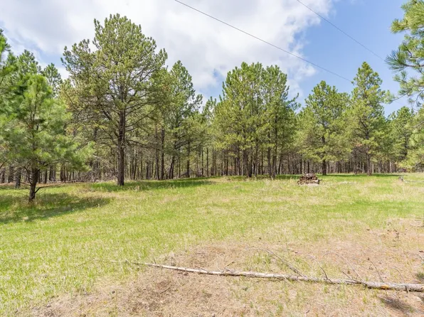 Old Saw Mill Rd, Custer, SD 57730