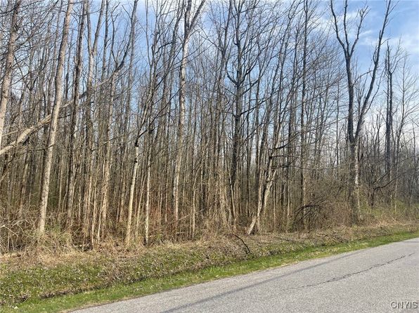 Lewis Point Rd #3, Canastota, NY 13032