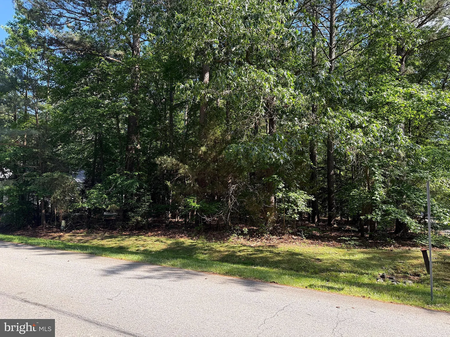 11822 Wollaston Cir photo 1