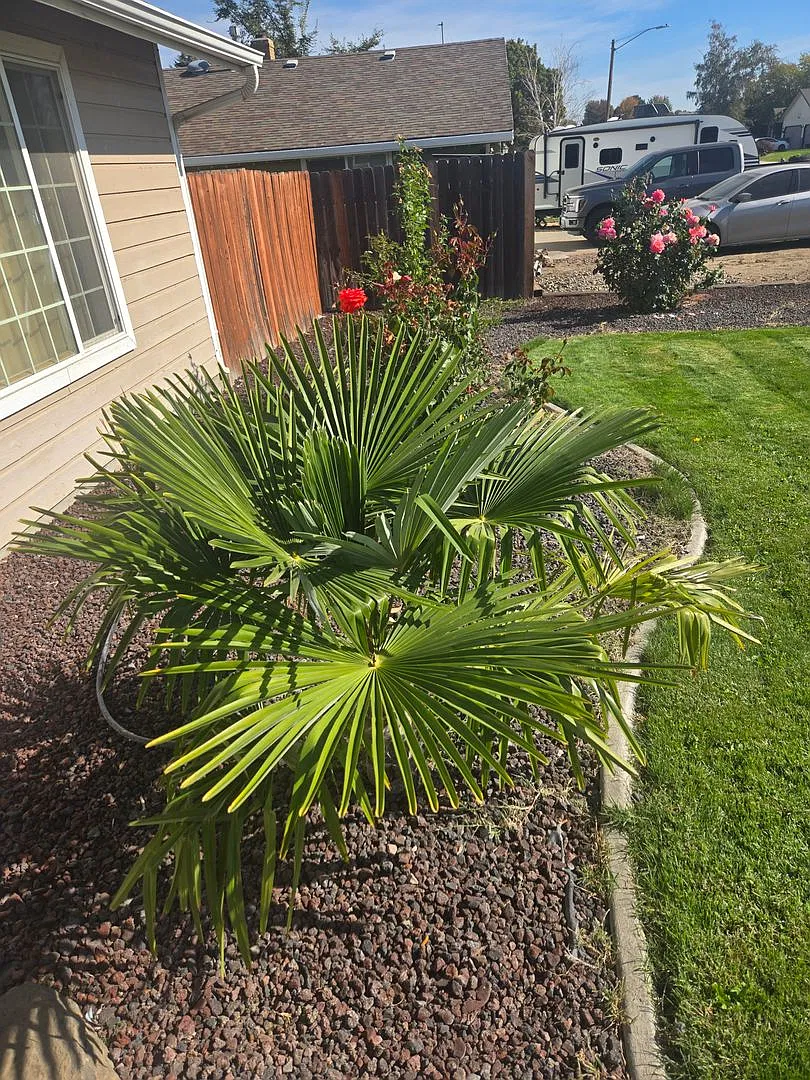 Lovely well cared for Home i — Photo 3