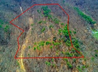 Peach Tree Way, Newport, TN 37821