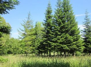 Bunker Creek Rd, Adna, WA 98522