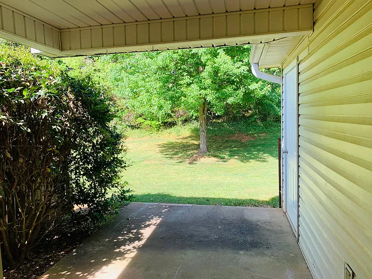 View from back door