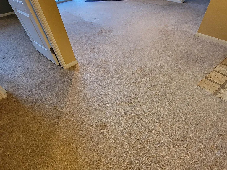 7150 Shoreline Dr #3311 — Photo 11