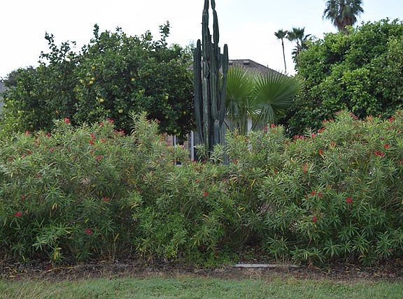 3rd image of 338 Diana Dr #257