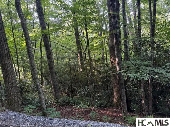 24 Wandering Ridge, Glenville, NC 28736