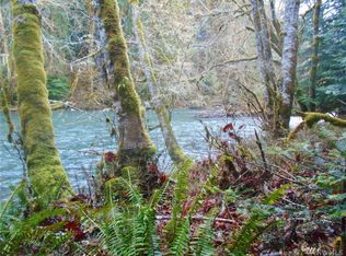 242 Mossy Ln, Brinnon, WA 98320