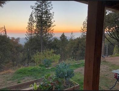 5695 Donkey Ln, Coulterville, CA, 95311