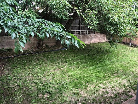 back yard