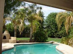 Lush backyard with diving pool